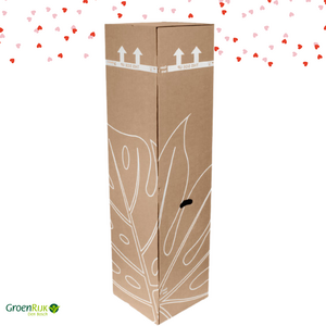 Kamerplant Cadeaubox Valentijnsdag - Roze Orchidee Doos
