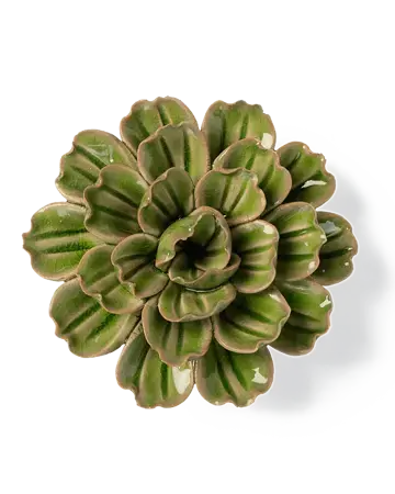 Keramiek Wandbloem Avocado Groene Petunia
