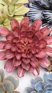Keramiek Wandbloem Blush Pink Star Dahlia sfeer