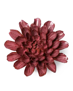 Keramiek Wandbloem Blush Pink Star Dahlia