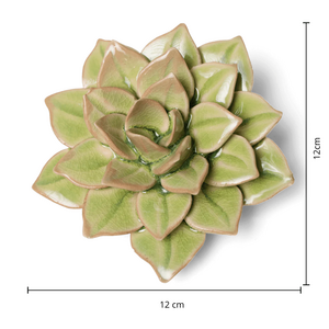 Keramiek Wandbloem Green Fairy Echeveria afmetingen