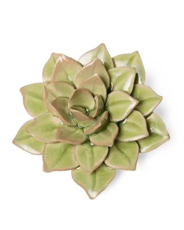 Keramiek Wandbloem Peridot Green Fairy Echeveria
