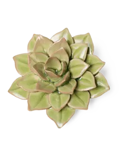 Keramiek Wandbloem Peridot Green Fairy Echeveria