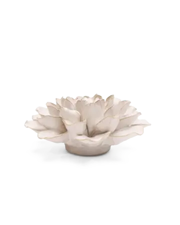 Wandbloem Ivoor European Waterlelie