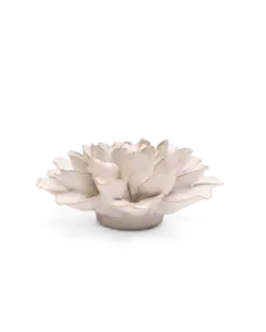 Wandbloem Ivoor European Waterlelie