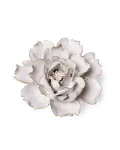 Keramiek Wandbloem Ivoor Roos