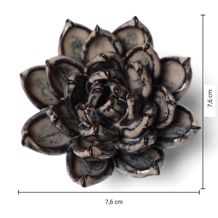 Keramiek bloemLatte Lola Echeveria