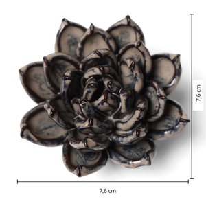 Keramiek bloemLatte Lola Echeveria