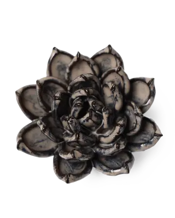 Keramiek Wandbloem Latte Lola Echeveria