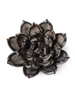 Keramiek Wandbloem Latte Lola Echeveria