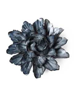 Keramiek Wandbloem Navy Sorbet Peony - afbeelding 1