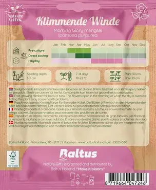 Klimmnde winde morning glory mengsl 20st - afbeelding 2
