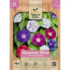 Klimmnde winde morning glory mengsl 20st