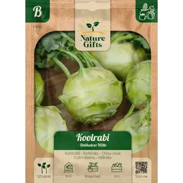 Koolrabi delikatess witte 100st - afbeelding 1