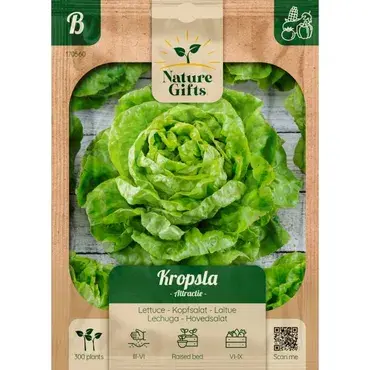 Kropsla attractie 300st - afbeelding 1