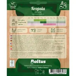 Kropsla attractie 300st - afbeelding 2