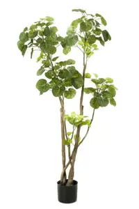 Kunstboom in Pot Polyscias 135cm