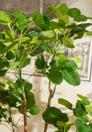 Kunstboom in Pot Polyscias