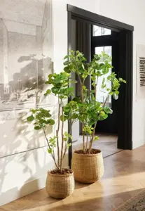 Kunstboom in Pot Polyscias 160cm sfeer