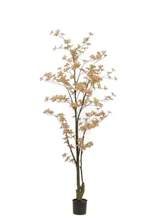Kunstboom in Pot Tropaeolum Perzik Groen 185cm
