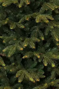 Kunstkerstboom frasier d124xh185cm groen - afbeelding 3