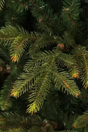 Kunstkerstboom frasier d124xh185cm groen - afbeelding 4