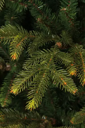 Kunstkerstboom frasier d161h260cm groen - afbeelding 3