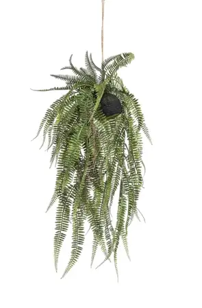 Kunstplant Bol Hangplant Varen 70cm