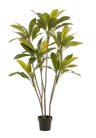 Kunstplant Cordyline 160cm