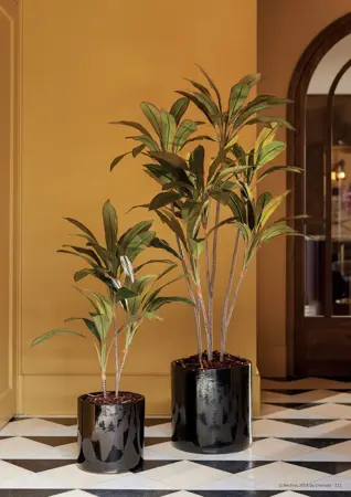 Kunstplant Cordyline 160cm sfeer