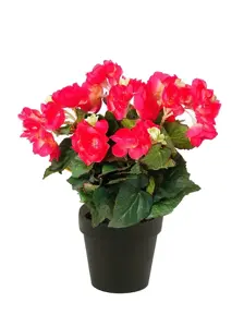 Kunstplant in Pot Begonia Roze 11cm