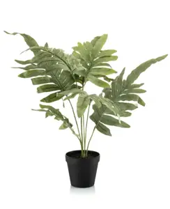 Kunstplant in Pot Blauwvaren Phlebodium 60cm