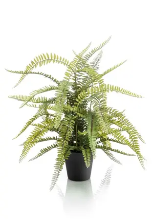 Kunstplant in Pot Boston Varen 70cm