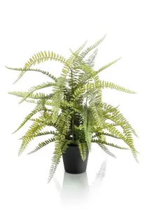Kunstplant in Pot Boston Varen 70cm