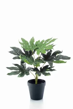 Kunstplant in Pot Fatsia 30cm
