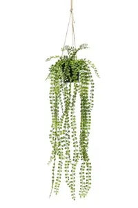Kunstplant in Pot Hangplant Ficus Pumila 60cm