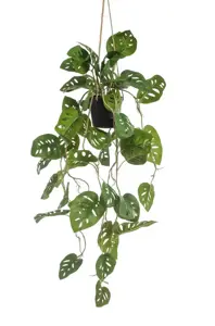 Kunstplant in Pot Hangplant Monstera Monkey 80cm
