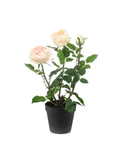 Kunstplant in Pot Roos Perzik 40cm