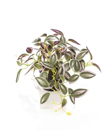 Kunstplant in Pot Tradescantia Groen Paars 19cm