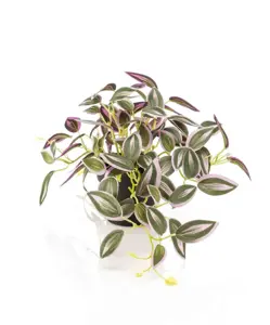 Kunstplant in Pot Tradescantia Groen Paars 19cm