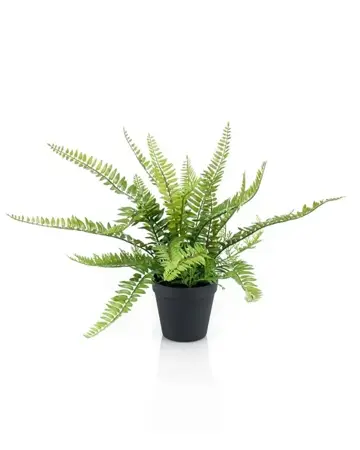 Kunstplant in pot Varen 35cm