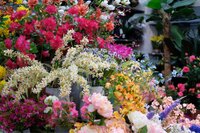 Kunstplanten en -bloemen