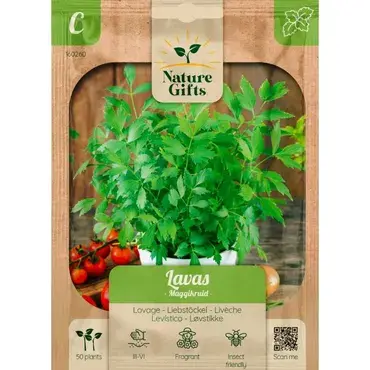 Lavas maggikruid 50st - afbeelding 1