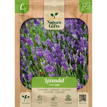 Lavendel echte spijk 100st - afbeelding 1