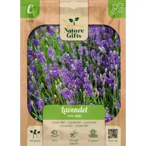 Lavendel echte spijk 100st - afbeelding 1