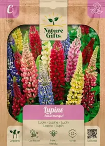 Lupine russell mengsel 20st