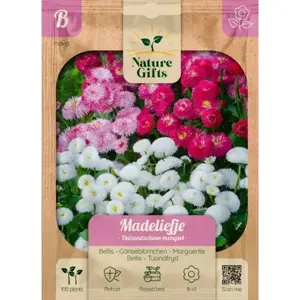 Madeliefje duizendschoon mengsel 100st