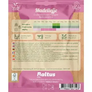 Madeliefje duizendschoon mengsel 100st - afbeelding 2