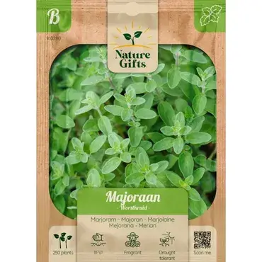 Majoraan worstkruid 250st - afbeelding 1