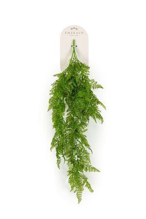 Mannetjesvaren hangend l35cm groen